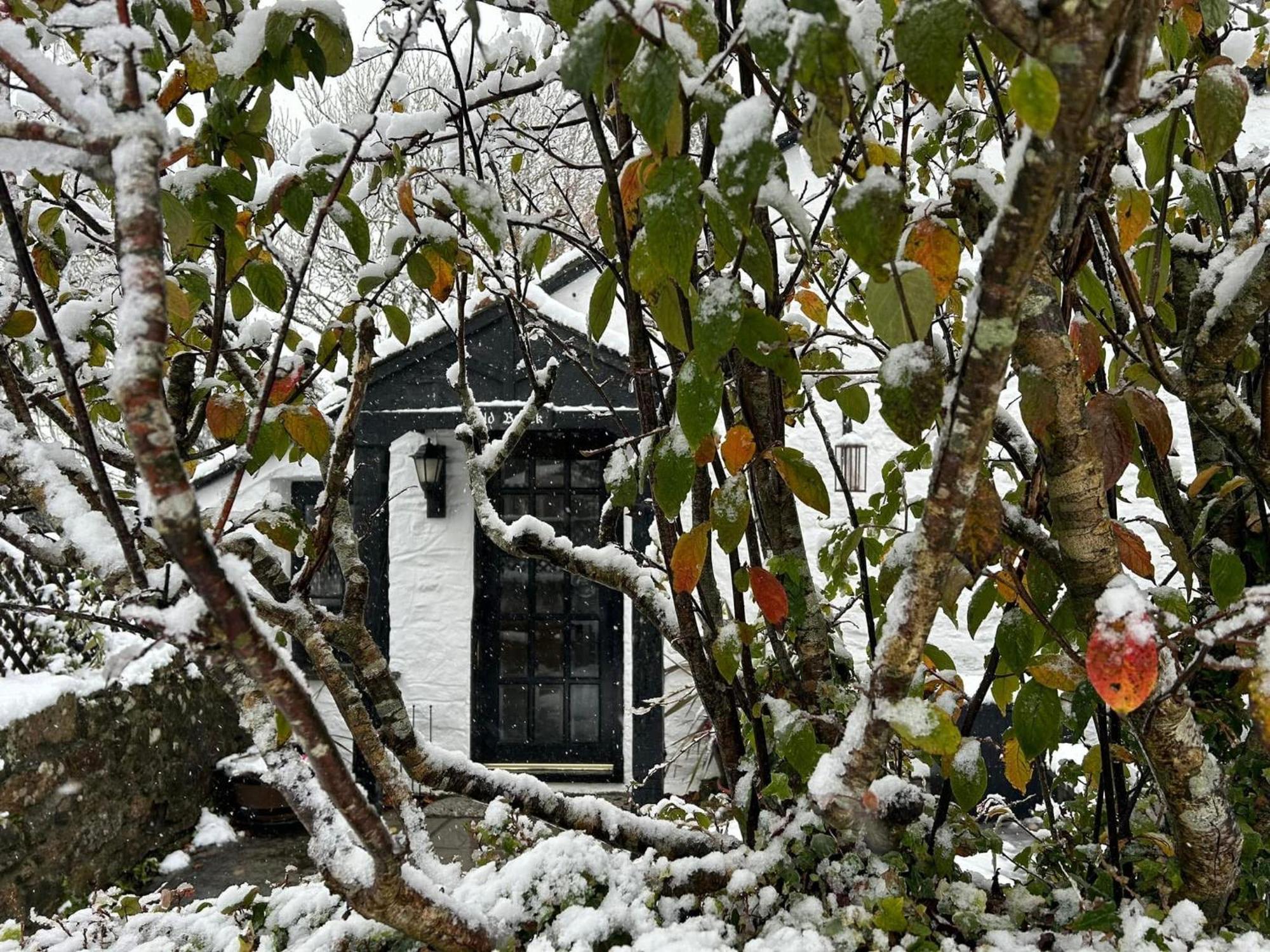 Hallagenna Cottages Bodmin Exteriér fotografie