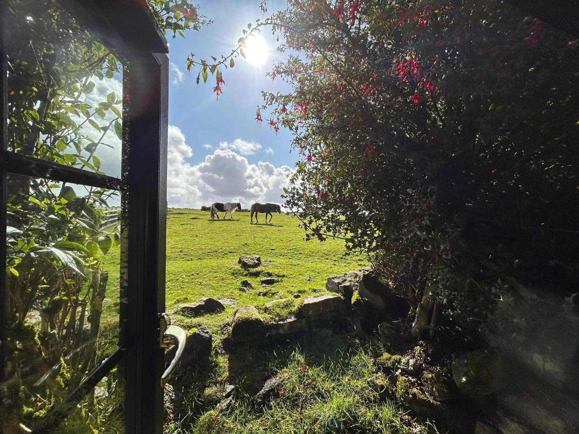 Hallagenna Cottages Bodmin Exteriér fotografie